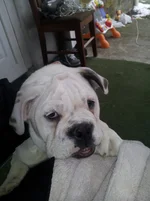 20121231_134845.webp