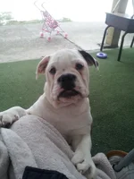 20121231_135025.webp