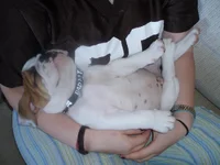 awww ..10 weeks.webp