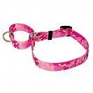 martingale collar.webp