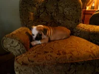 IMG_20121231_145538.webp