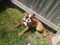 IMG033.webp