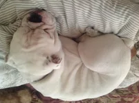 image.webp