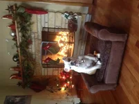 image.webp
