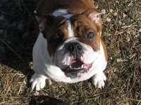 Lucy3.jpg