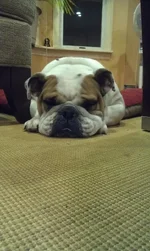 Mussshhhh face.webp