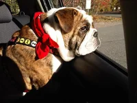 IMG-20121006-00040.webp