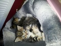 20130205_101213.jpg 20130205_101213.jpg