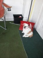 20130103_160425.webp