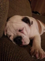 20130104_010247.webp