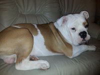 20130203_071851.jpg