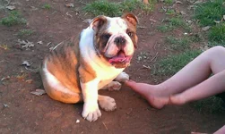 uploadfromtaptalk1364795134730.webp