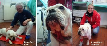 bb_Fero_after_operation_mar13.jpg