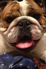 2012 dec Nigel.webp