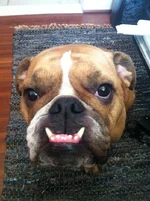 2012-12-11 14.28.32.webp