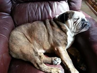 20130516_151608.webp