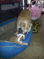 baby sister Ruby.jpg baby sister Ruby.jpg