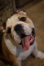 Nikon_7476.webp