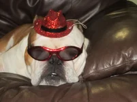 Mack 014.webp