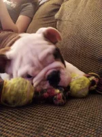 20130205_204136.webp