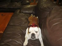 Mack 028.webp