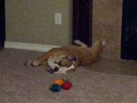 20130401_204725.webp 20130401_204725.webp