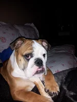 20130402_065452.webp