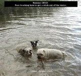 bb_SSch_Keeper_Joker_Fero_aug2012.webp