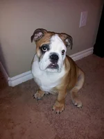 20130205_182502.webp
