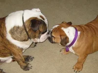 Bro and Sis touching face.webp Bro and Sis touching face.webp