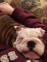 20130206_011259.webp
