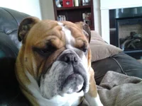 20130430_075131.webp
