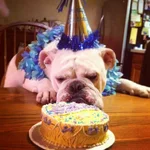 photo-118.webp photo-118.webp