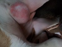 20130207_083900.jpg 20130207_083900.jpg
