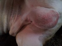 20130207_083829.jpg 20130207_083829.jpg