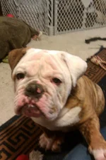 Phone 2011 278.webp