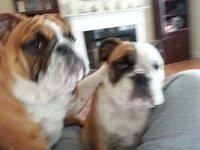 2013-01-13 12.30.46.webp