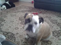 2013-04-30 07.51.25.webp