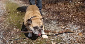 bb_1_KK_2.4.2013.webp