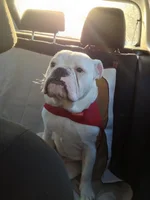 2012-12-25 15.41.00 HDR.webp