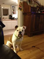 2013-01-14 19.01.46.webp