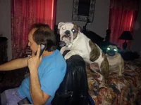 new pic 577.webp