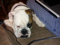 new pic 699.webp