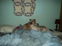 DSC02677.webp