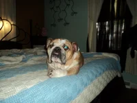 DSC01120.webp