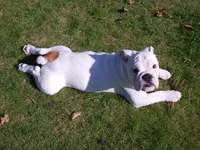 DSCN0555.webp