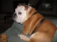 IMG_0117.webp IMG_0117.webp