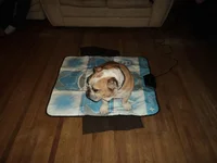 DSC02746.webp