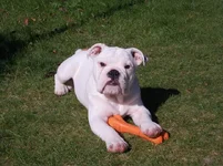 DSCN0554.webp