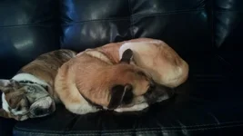 WP_20121218_004.webp
